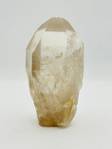 Crystals & Stone Companions