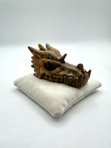 Ishara | Petrified Coral | Dragon Companion