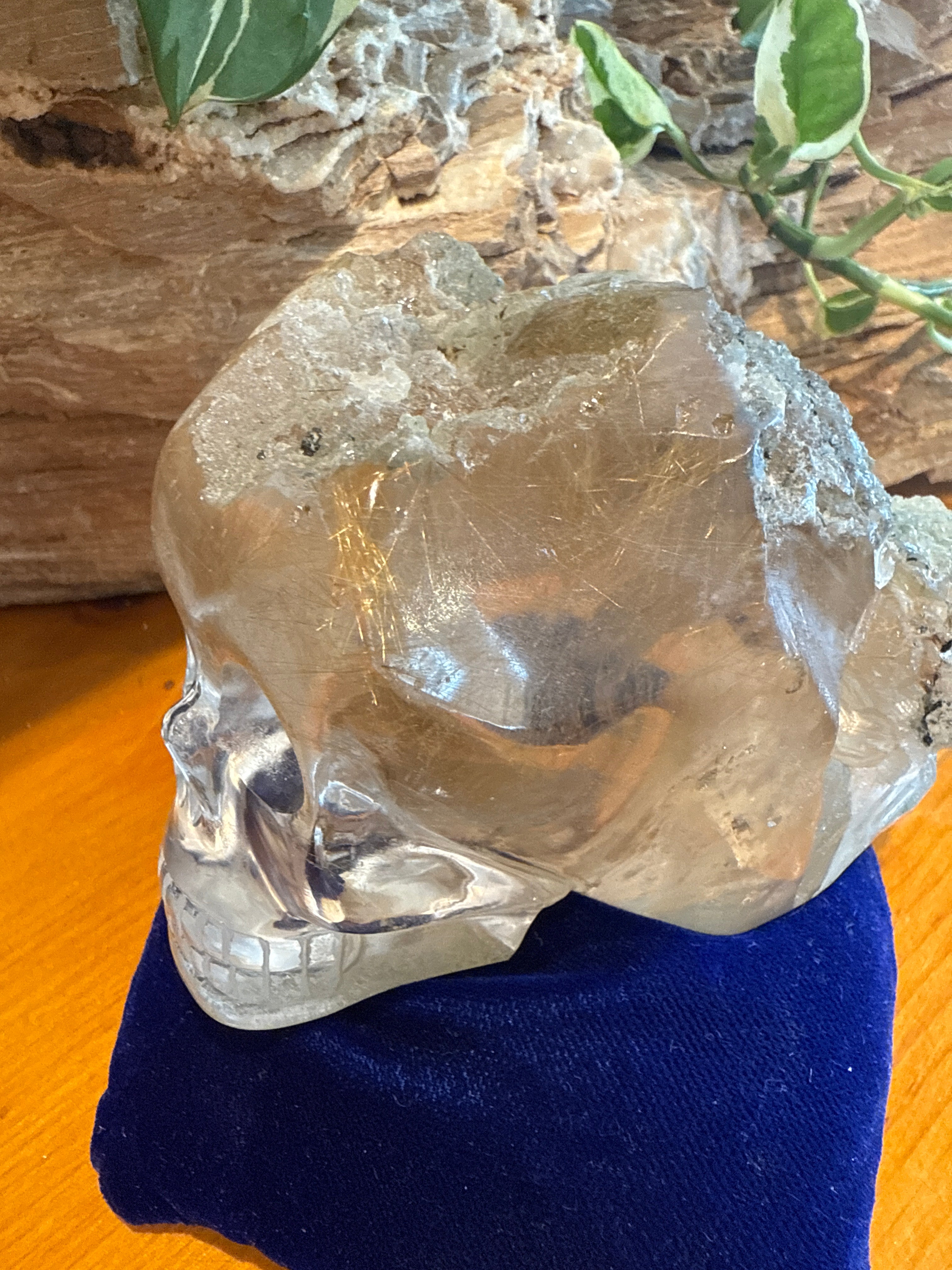Rutilated Quartz Skull with Tourmaline