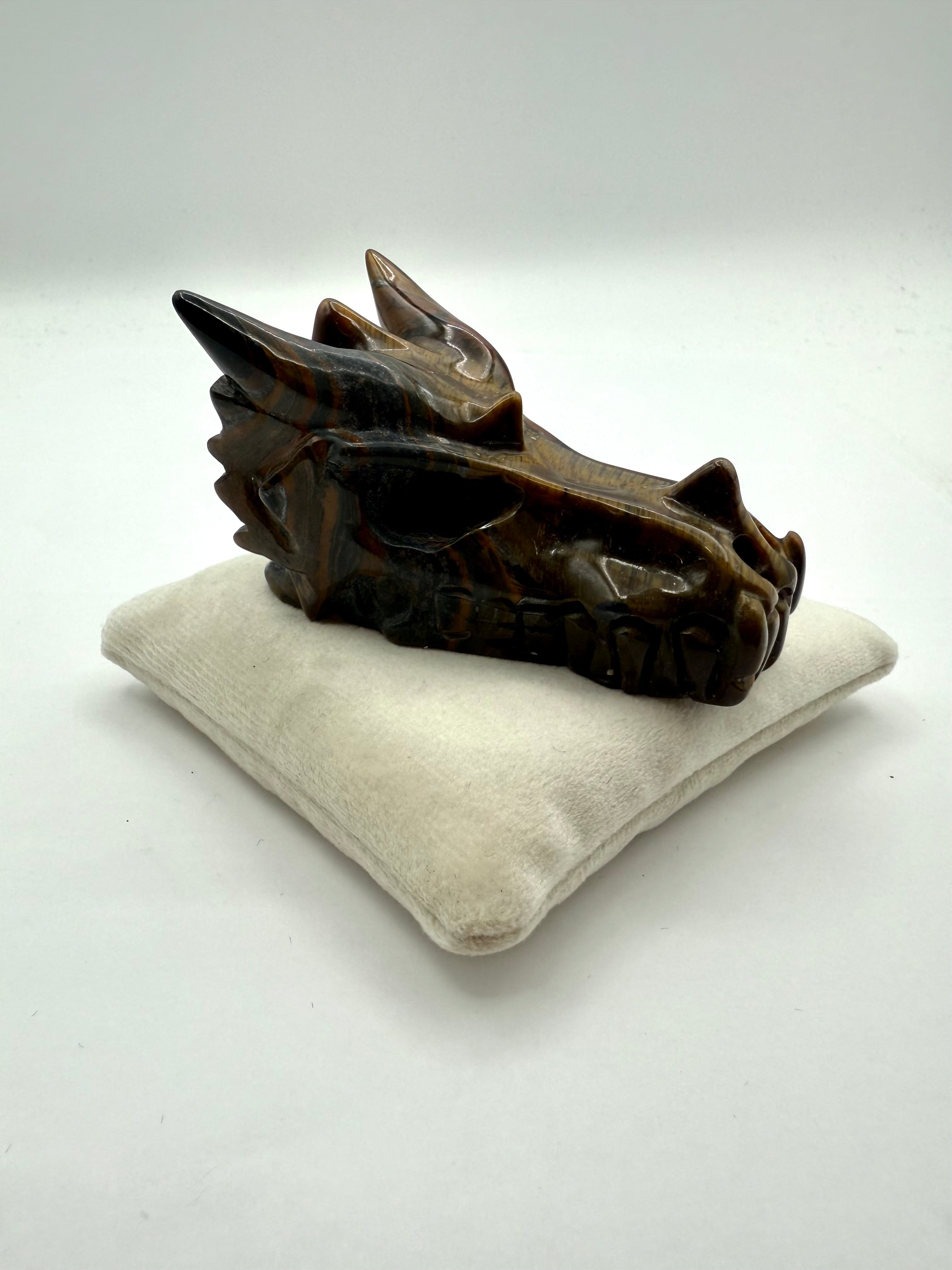 Ayotunde | Tiger’s Eye | Dragon Skull