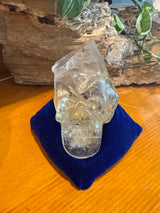 Skull