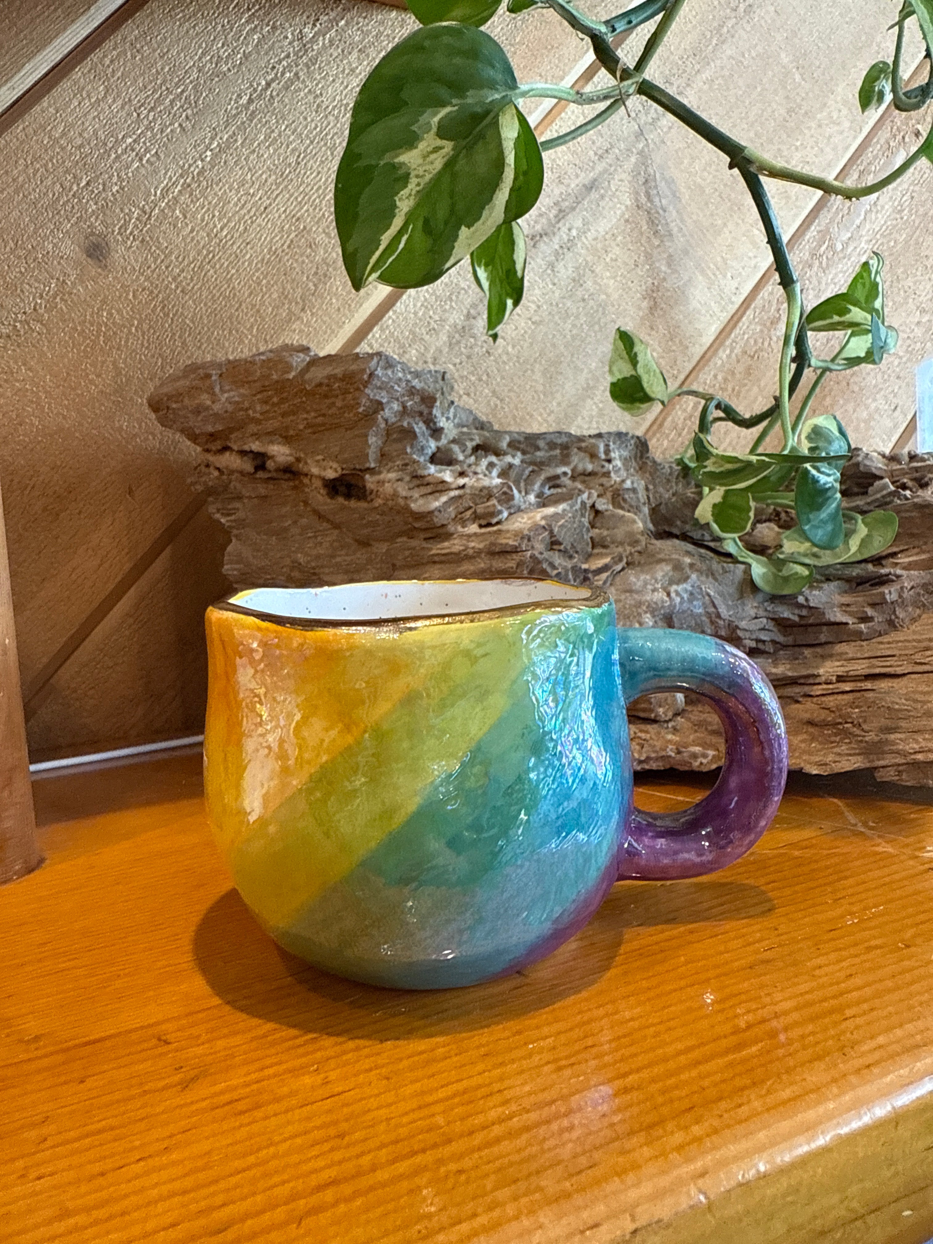 Rainbow Cup