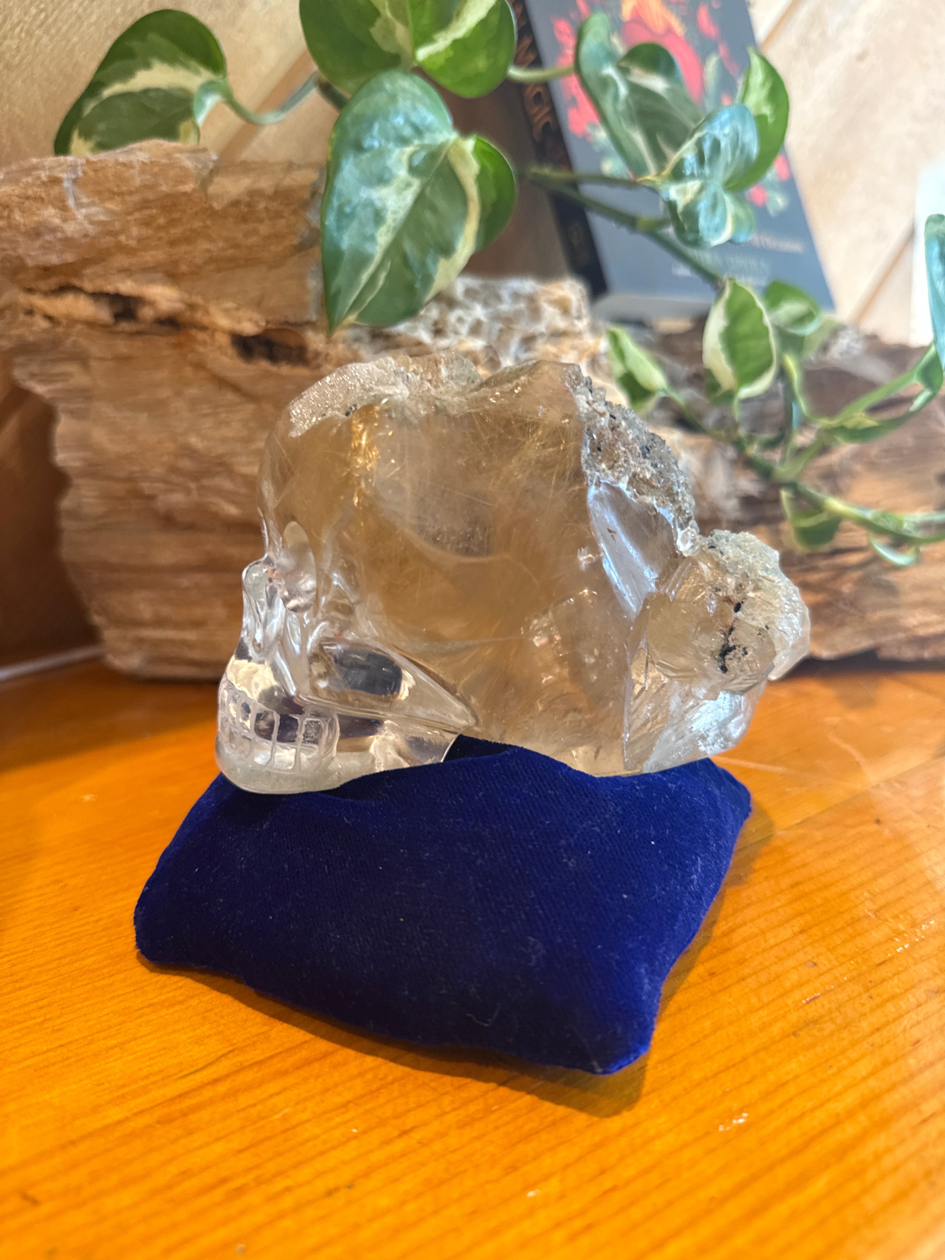 Rutilated Quartz Skull with Tourmaline