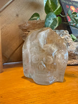 Skull