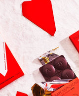Antidote Chocolate XOCHI: RAW 100% CACAO + DATES