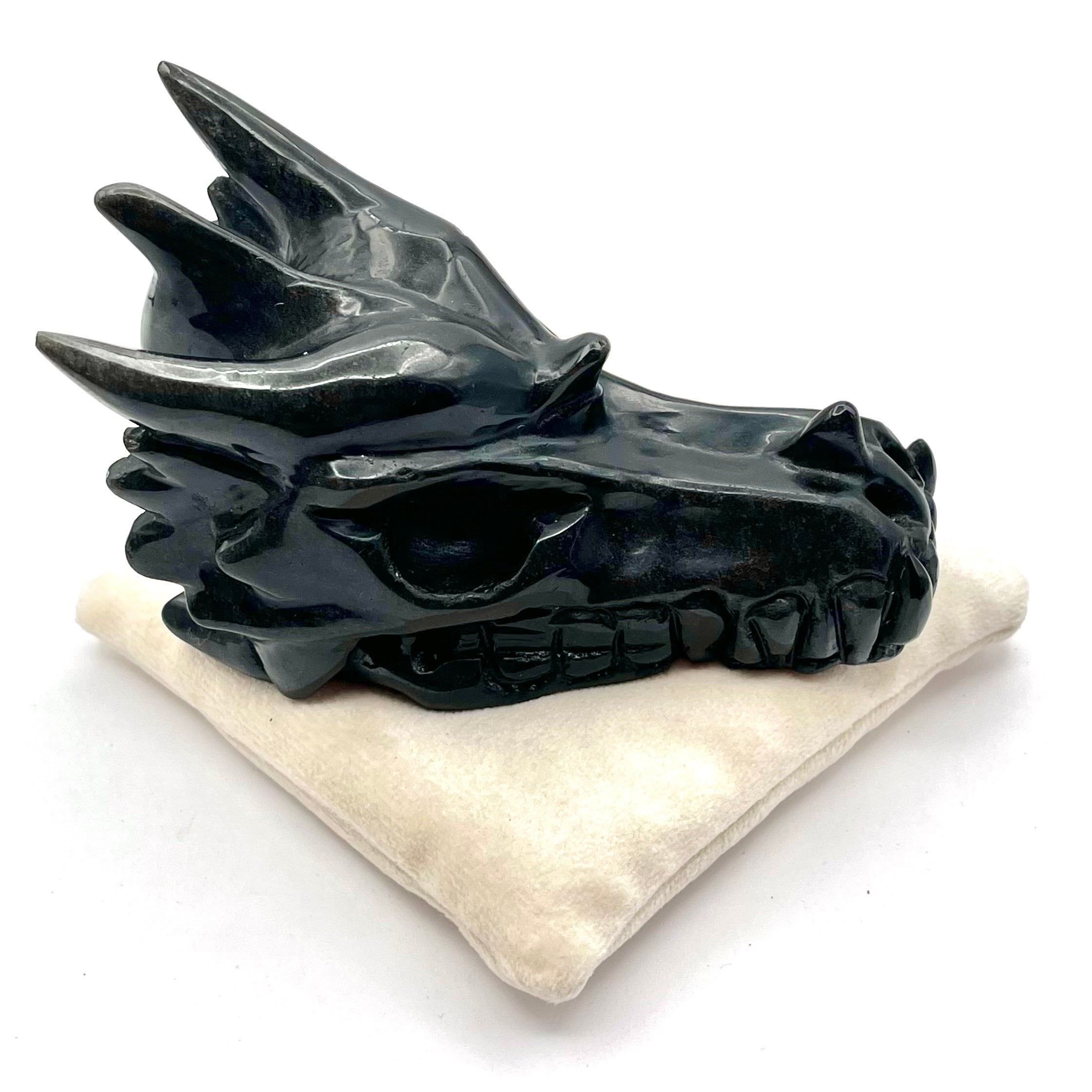 Torin | Obsidian | Dragon Companion