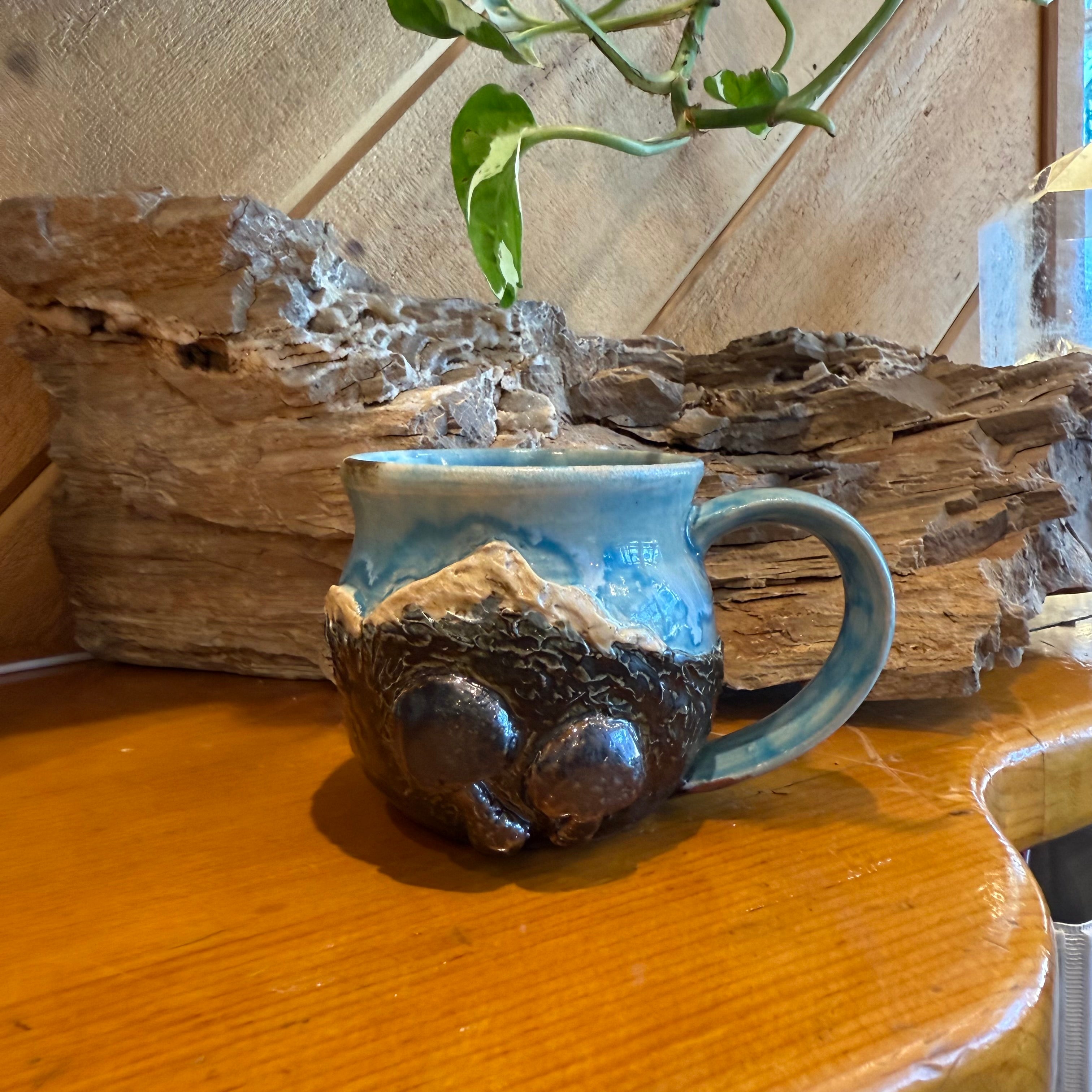 Mt. Shasta Mushroom Cup