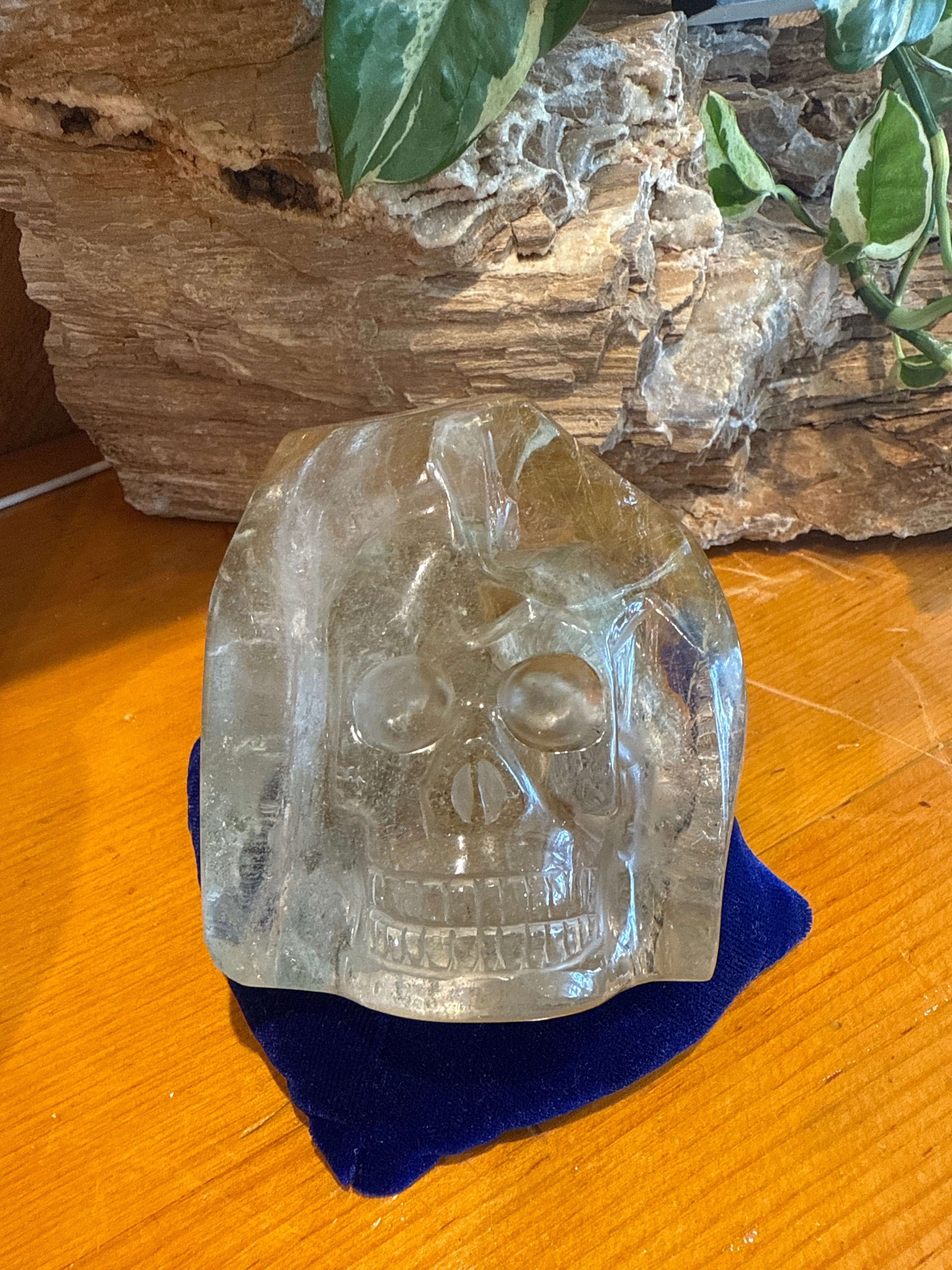Skull