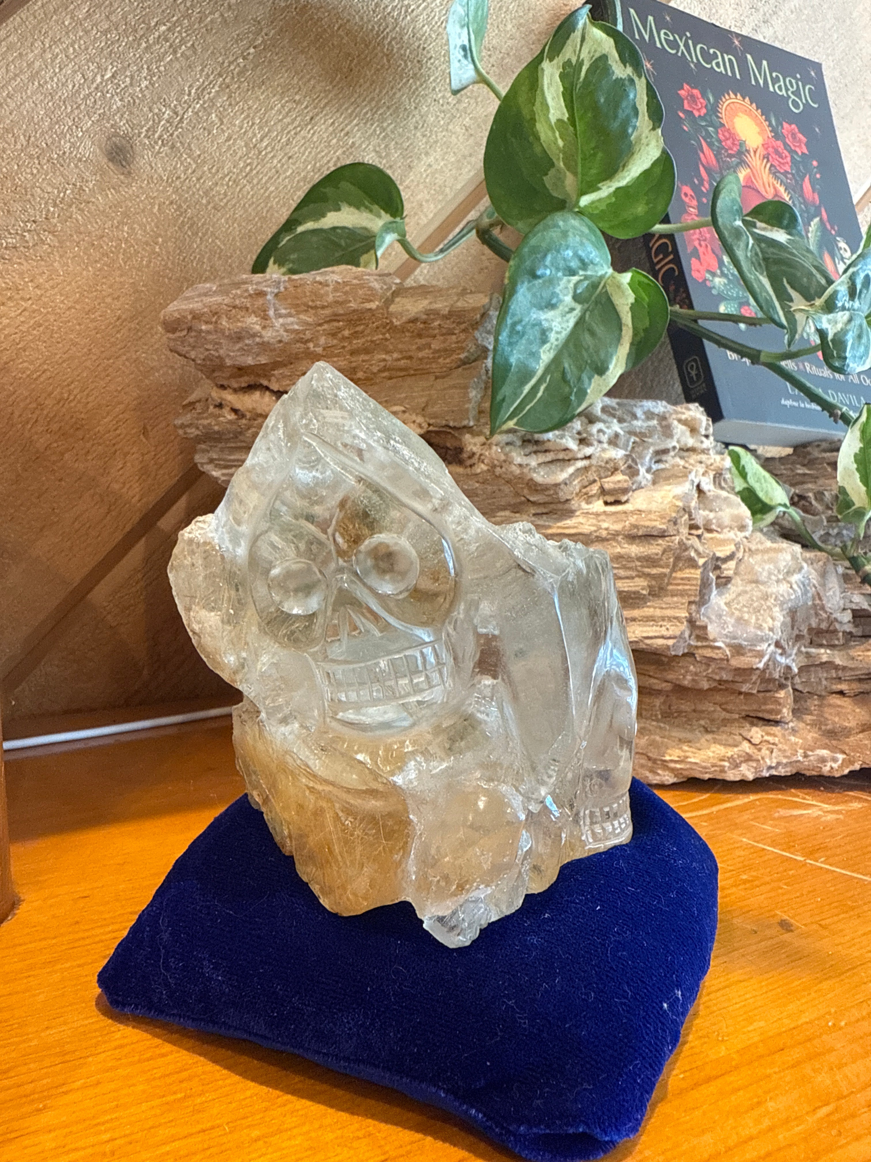 Skull