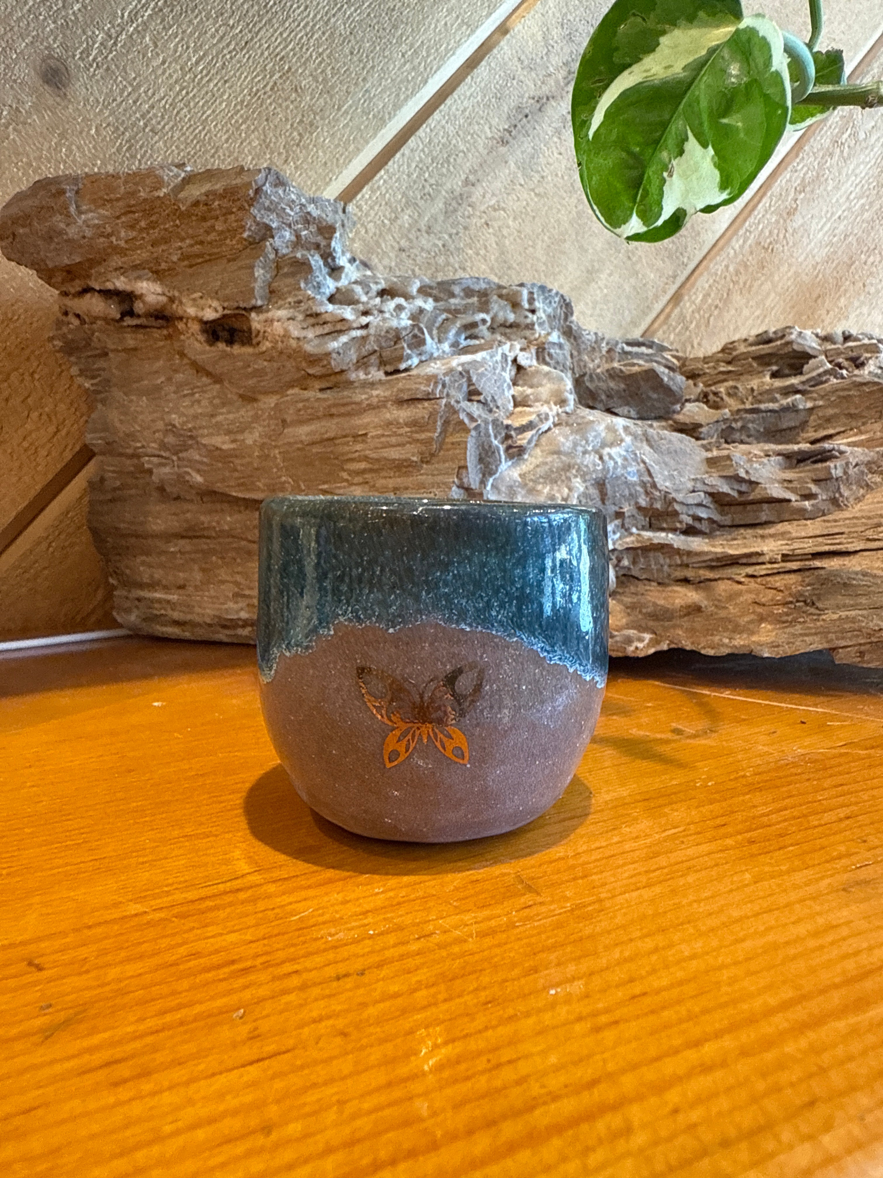 Butterfly Cup