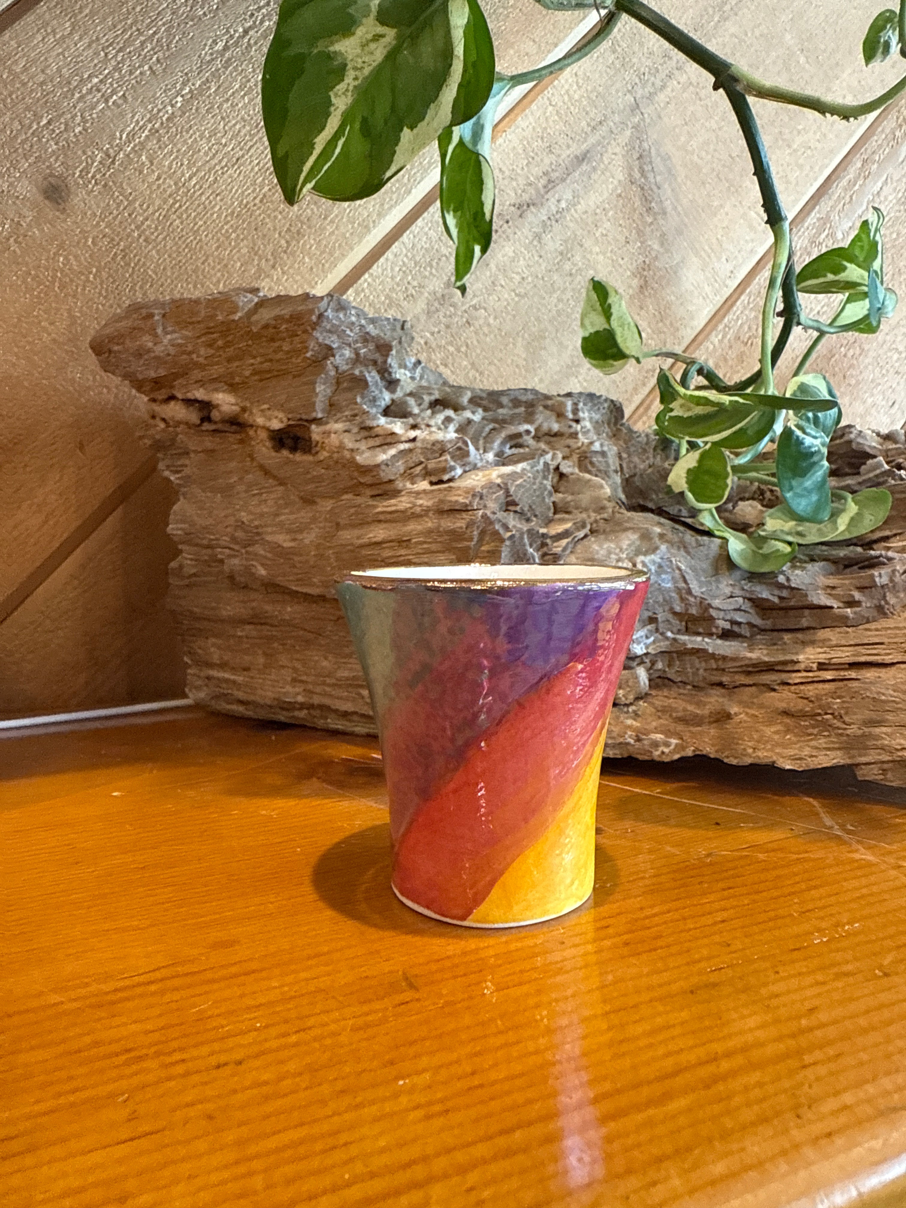 Tiny Rainbow Cup