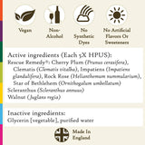 Bach Original Flower Remedies, Ready To Go Trio Kit